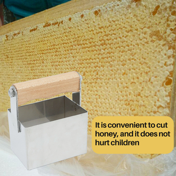 Nest honey cutter — εργαλείο μελισσοκομίας ευρωπαϊκού στυλ, από ανοξείδωτο ατσάλι, με πλαστικό κουτί