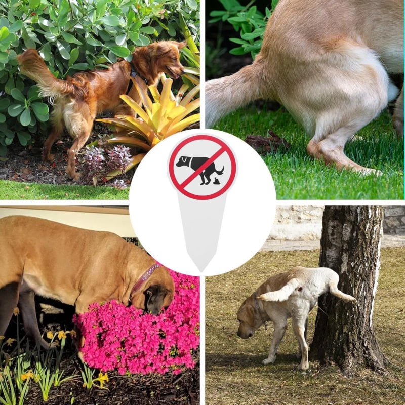 Διπλής όψης διακοσμητικό επιγραφικό ταμπελάκι με λογότυπο περιπάτου σκύλου, μοτίβο λουλουδιών και φυτών, υλικό Chevron board, εκτύπωση, μάρκα Zhenye