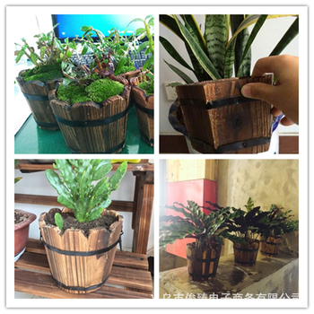 Medinis vazonas sukulentams, rankų darbo, kaimo retro stilius, tinkamas sukulentams, prekės ženklas Jun Zhen