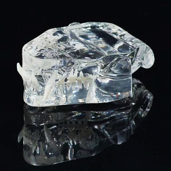 Háziállatok dentális modellje oktatáshoz, Youkang Technology, OEM fogmodell, dobozban 100 darab, kategória: egyéb szájhigiéniai kémiai termékek