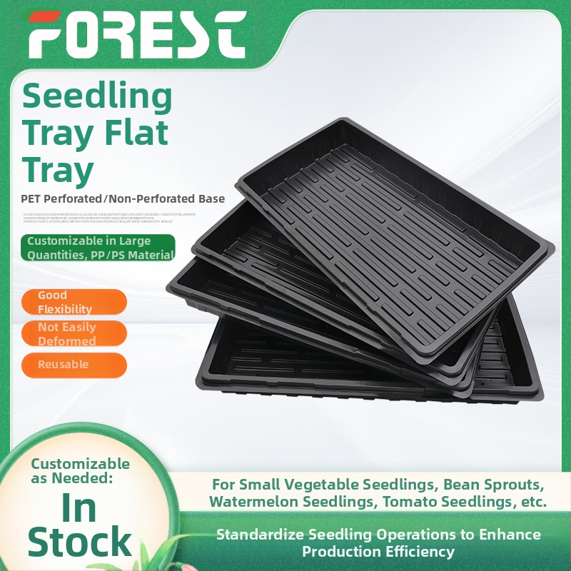 PET medžiagos sodinukų dėklas, kvėpuojantis, atsparus korozijai, tvirtas ir patvarus; grindų montavimui; tinkamas namų sodininkystei ir gėlių auginimui