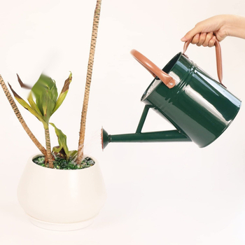 Διπλής χρήσης ποτιστικό για φυτά και λουλούδια, 4L