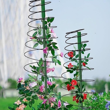 Μεταλλική στήριξη φυτών με σπειροειδές πλαίσιο, αναδιπλούμενος κληματικός σκελετός, βάση δαπέδου για κήπο στο σπίτι