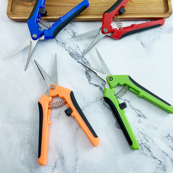 Yimeili Ανοξείδωτα ψαλίδια κλαδέματος με μυτερή άκρη – για κλάδεμα αμπέλου, συγκομιδή φρούτων και κηπουρική