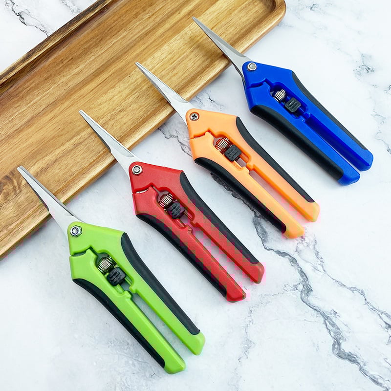 Yimeili Ανοξείδωτα ψαλίδια κλαδέματος με μυτερή άκρη – για κλάδεμα αμπέλου, συγκομιδή φρούτων και κηπουρική