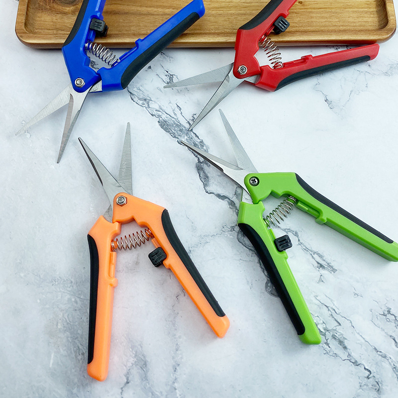 Yimeili Ανοξείδωτα ψαλίδια κλαδέματος με μυτερή άκρη – για κλάδεμα αμπέλου, συγκομιδή φρούτων και κηπουρική