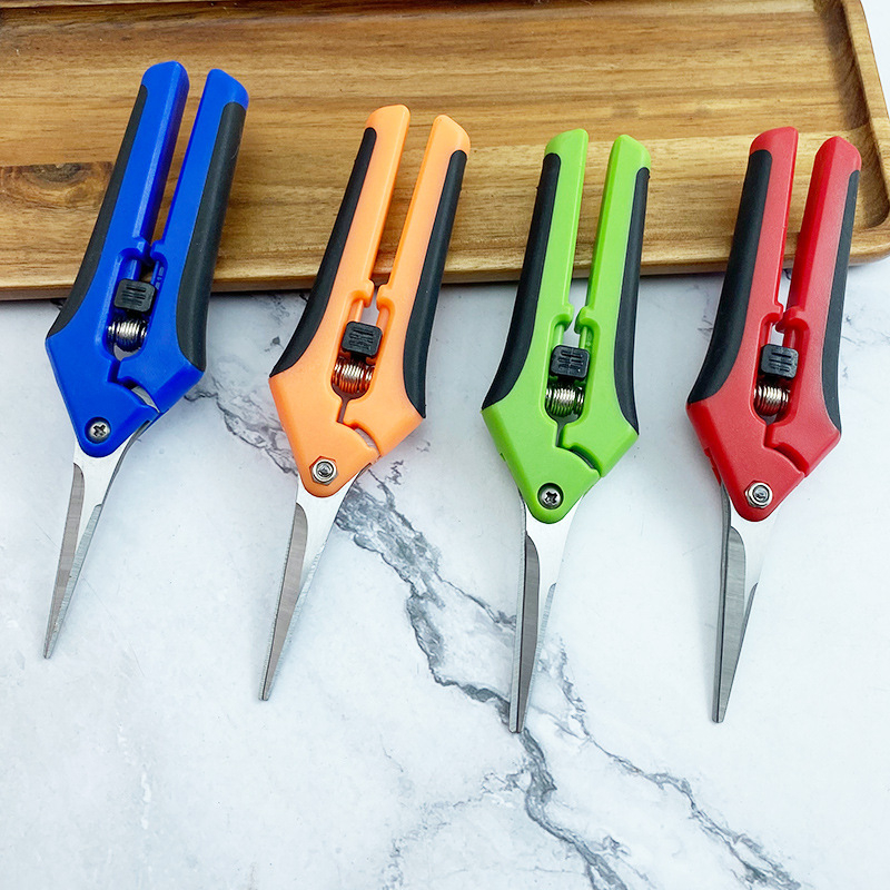 Yimeili Ανοξείδωτα ψαλίδια κλαδέματος με μυτερή άκρη – για κλάδεμα αμπέλου, συγκομιδή φρούτων και κηπουρική