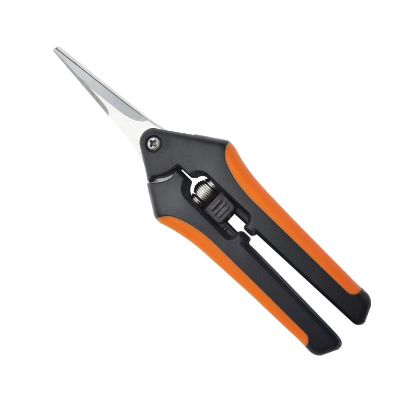 Yimeili Ανοξείδωτα ψαλίδια κλαδέματος με μυτερή άκρη – για κλάδεμα αμπέλου, συγκομιδή φρούτων και κηπουρική