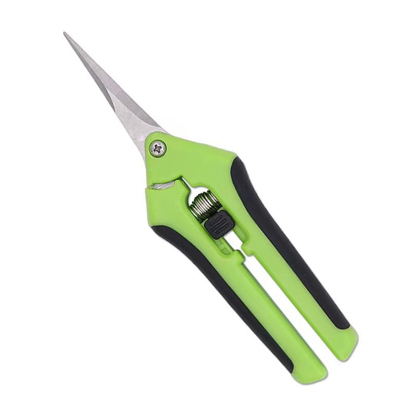 Yimeili Ανοξείδωτα ψαλίδια κλαδέματος με μυτερή άκρη – για κλάδεμα αμπέλου, συγκομιδή φρούτων και κηπουρική