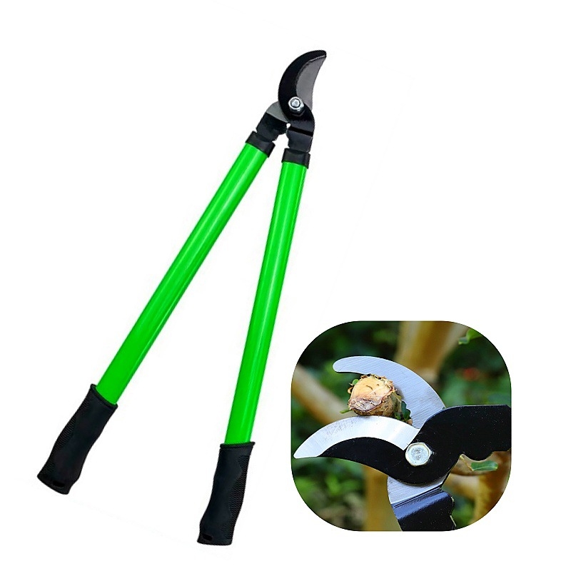 Genėjimo žirklės storoms ir aukštoms šakoms – sodo genėjimo įrankis šalia tvoros