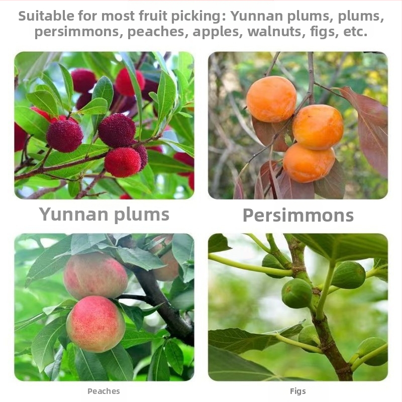 Телескопична пръчка за беритба на плодове с кука; неръждаема стомана + галванизиран плодоберач; регулируеми 3–6 секции; тегло 0.6 кг, 1.7 кг, 2.5 кг