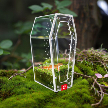 Διάφανο κλουβί ακρυλικό με αερισμό για αράχνες, έντομα και ερπετά — βιωματικό περιβάλλον αναπαραγωγής με κλειδαριά και δυνατότητα στοίβαξης.
