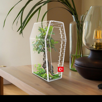 Διάφανο κλουβί ακρυλικό με αερισμό για αράχνες, έντομα και ερπετά — βιωματικό περιβάλλον αναπαραγωγής με κλειδαριά και δυνατότητα στοίβαξης.