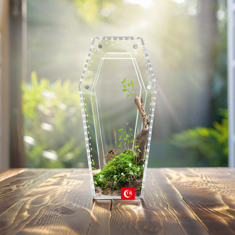 Áttetsző akril ketrec pókoknak szellőző, hüllők, rovarok és kétéltűek számára — moduláris élőhely zárható fedéllel és többszörösen összerakható.