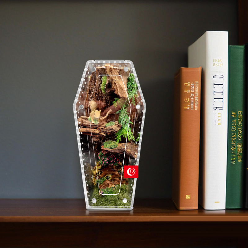 Áttetsző akril ketrec pókoknak szellőző, hüllők, rovarok és kétéltűek számára — moduláris élőhely zárható fedéllel és többszörösen összerakható.