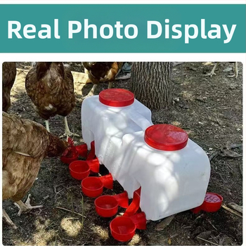 Πτηνοτροφική ποτίστρα με αυτόματο δοχείο ποτίσματος για κοτόπουλα, πάπιες και χήνες — έτοιμη για ετικέτα