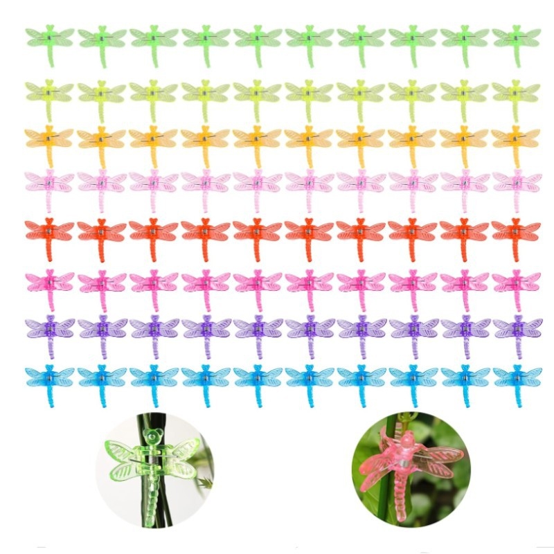 Plastikinis augalų laikiklis Phalaenopsis orchidėjoms, namų sodo komplektas su viela ar virve – fiksavimas, parama ir dekoravimas