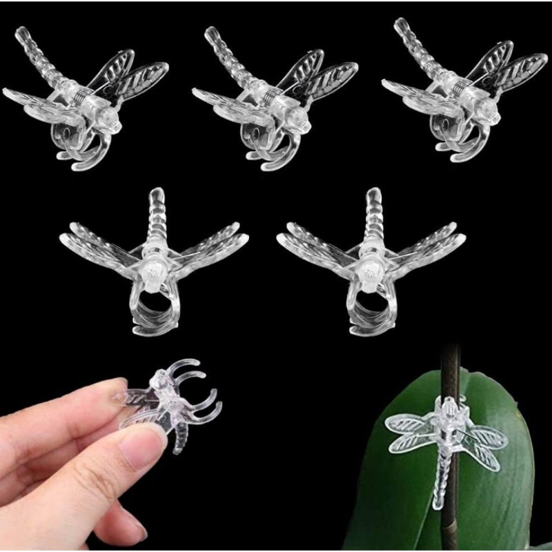 Plastikinis augalų laikiklis Phalaenopsis orchidėjoms, namų sodo komplektas su viela ar virve – fiksavimas, parama ir dekoravimas