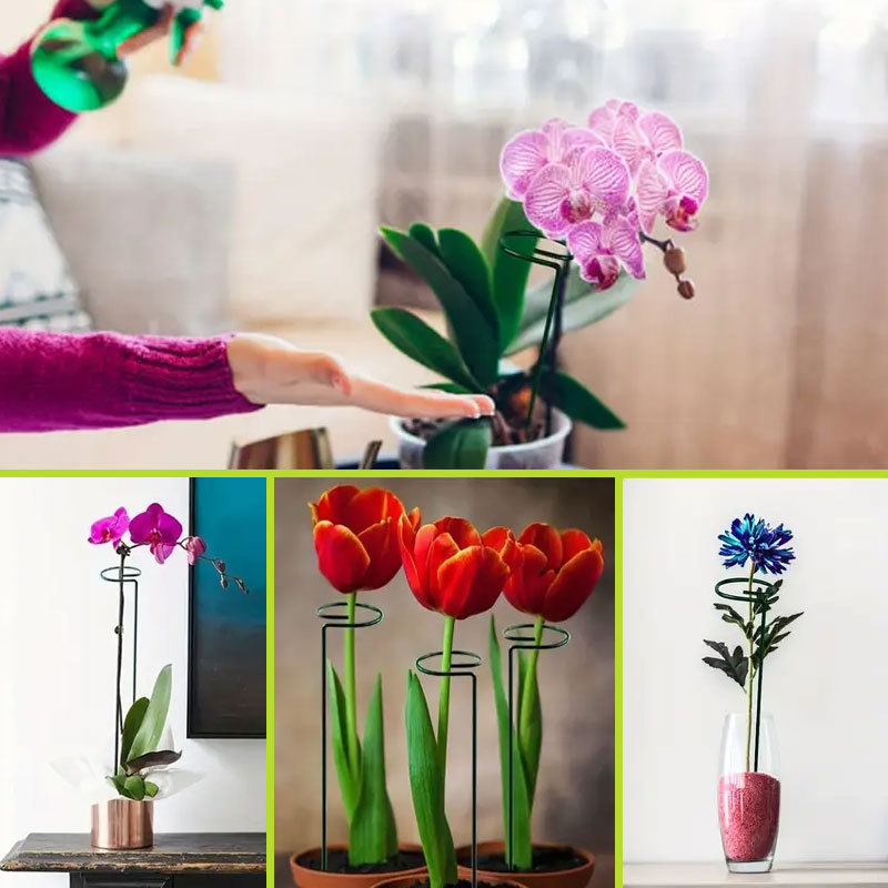 Metalinė gėlių laikiklis, grindų stovas, mobilus, minimalistinis stilius, Xiyue prekės ženklas