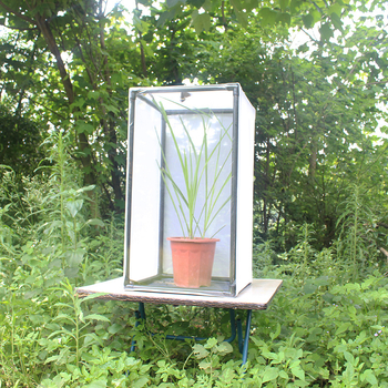 PVC csőhálós rovartenyésztő ketrec, Pulowang márka, Xiamen eredetű, tervezve rovarok tenyésztésére és kártevők megelőzésére