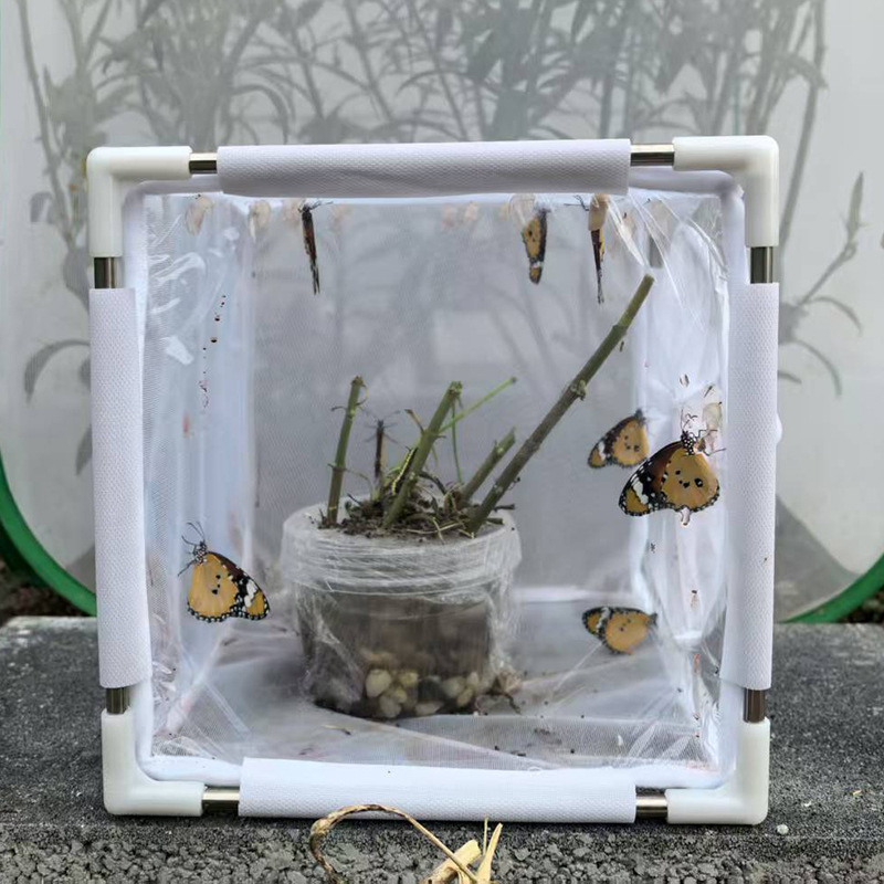 PVC csőhálós rovartenyésztő ketrec, Pulowang márka, Xiamen eredetű, tervezve rovarok tenyésztésére és kártevők megelőzésére