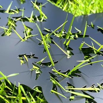 Yunshang Μεταλλικός στύλος εδάφους για κήπο – Διακοσμητικό Μπιγκφουτ, Τέχνη από Σίδερο, Διαμόρφωση Χώρου