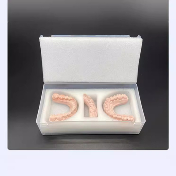 Teljes állkapocsos fogmodell és protézisekhez való tároló- és szállítódoboz logónyomtatási lehetőséggel – Yayu márka, hazai márka, vonalkód 1648435, Kategória: Egyéb szájápolási vegyi anyagok