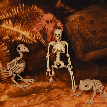 Állati csontváz rekvizit - műanyag figura Halloween dekorációhoz, jelenet rekvizit