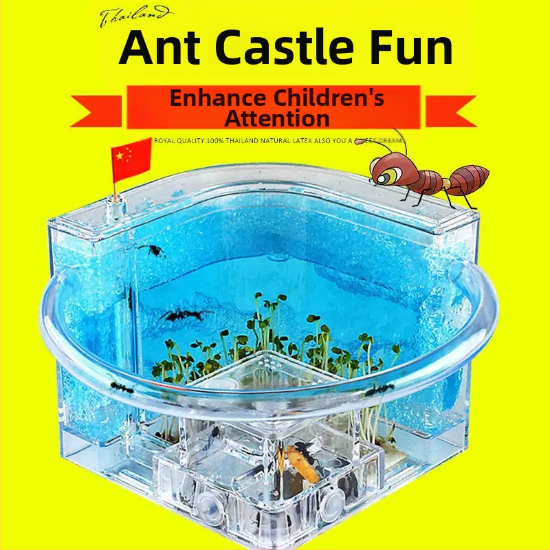 Ант ферма за наблюдение с хранилка, база за вила и дизайн на замък (Произход: Друг; Внос: Не; Приложимо за: Други; Марка: Други)