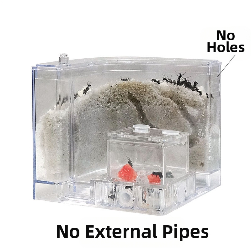 Ант ферма за наблюдение с хранилка, база за вила и дизайн на замък (Произход: Друг; Внос: Не; Приложимо за: Други; Марка: Други)