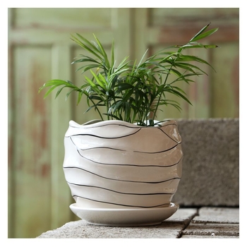 Κεραμική γλάστρα με δίσκο, απλός σχεδιασμός, για εσωτερικούς και εξωτερικούς χώρους, για γραφείο ή επιτραπέζια τοποθέτηση