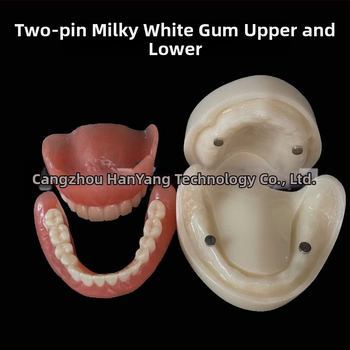 Gyakorló fogimplantátum modell – felső- és alsó állkapocs, fél szájban 2 vagy 4 implantátummal