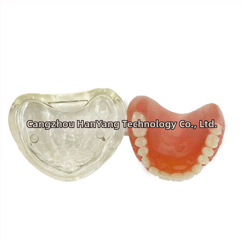 Gyakorló fogimplantátum modell – felső- és alsó állkapocs, fél szájban 2 vagy 4 implantátummal