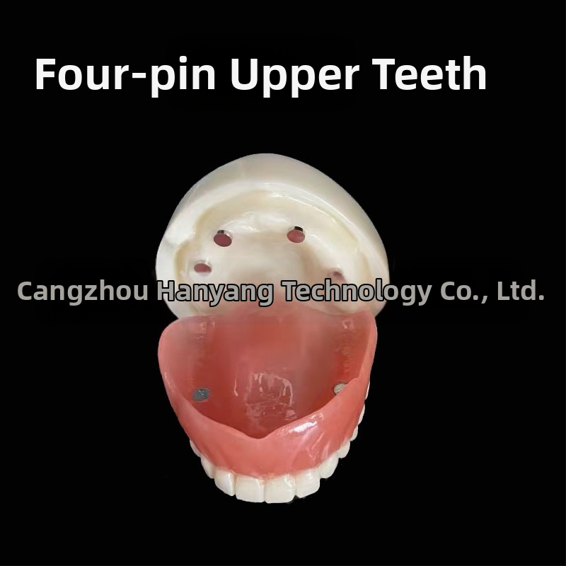 Gyakorló fogimplantátum modell – felső- és alsó állkapocs, fél szájban 2 vagy 4 implantátummal