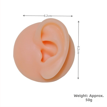 Μοντέλο σιλικόνης προσομοίωσης ανθρώπινών χαρακτηριστικών προσώπου για διδασκαλία – αυτί, μύτη, στόμα, γλώσσα, ομφαλός, ακανόνιστο εκθεσιακό αντικείμενο, μοντέρνο μινιμαλιστικό στυλ, κωδ. B-01