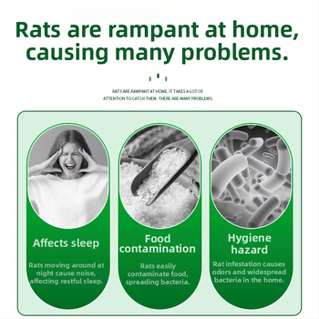 Bond trap Klijinė pelių plokštė – kieta forma, Modelis 52528, Netoksiška, Pelių kontrolė