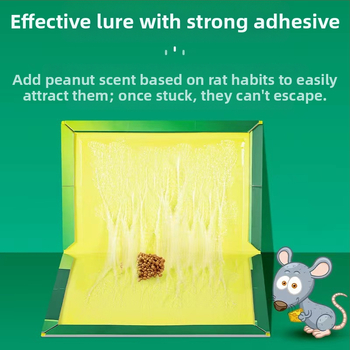 Bond trap Klijinė pelių plokštė – kieta forma, Modelis 52528, Netoksiška, Pelių kontrolė