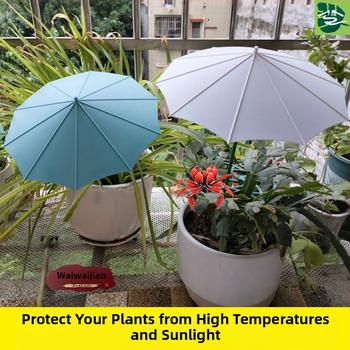 Ομπρέλα φυτών από φαιμπεργκλάστ για εξωτερική χρήση – προστασία από τον ήλιο και τη βροχή για succulent bonsai σε γλάστρες