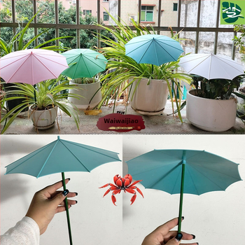 Ομπρέλα φυτών από φαιμπεργκλάστ για εξωτερική χρήση – προστασία από τον ήλιο και τη βροχή για succulent bonsai σε γλάστρες