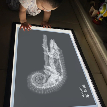 Εκπαιδευτικό παιχνίδι Μοντεσσόρι-Ρέτζιο με φως και σκιά, DIY δαχτυλίδι ακτινογραφίας, για βρέφη 0–3 ετών, γωνιά επιστήμης