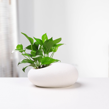 Κεραμική γλάστρα για λουλούδια, μινιμαλιστικός σχεδιασμός, με βάση για δάπεδο, για οικιακή κηπουρική