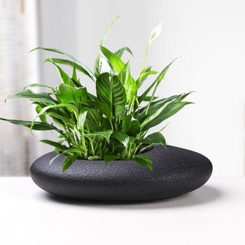 Κεραμική γλάστρα για λουλούδια, μινιμαλιστικός σχεδιασμός, με βάση για δάπεδο, για οικιακή κηπουρική