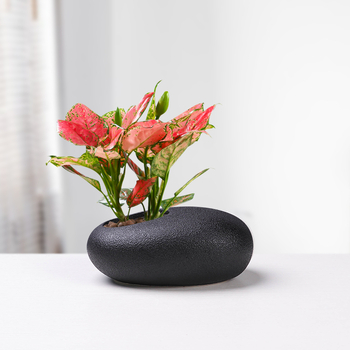 Κεραμική γλάστρα για λουλούδια, μινιμαλιστικός σχεδιασμός, με βάση για δάπεδο, για οικιακή κηπουρική