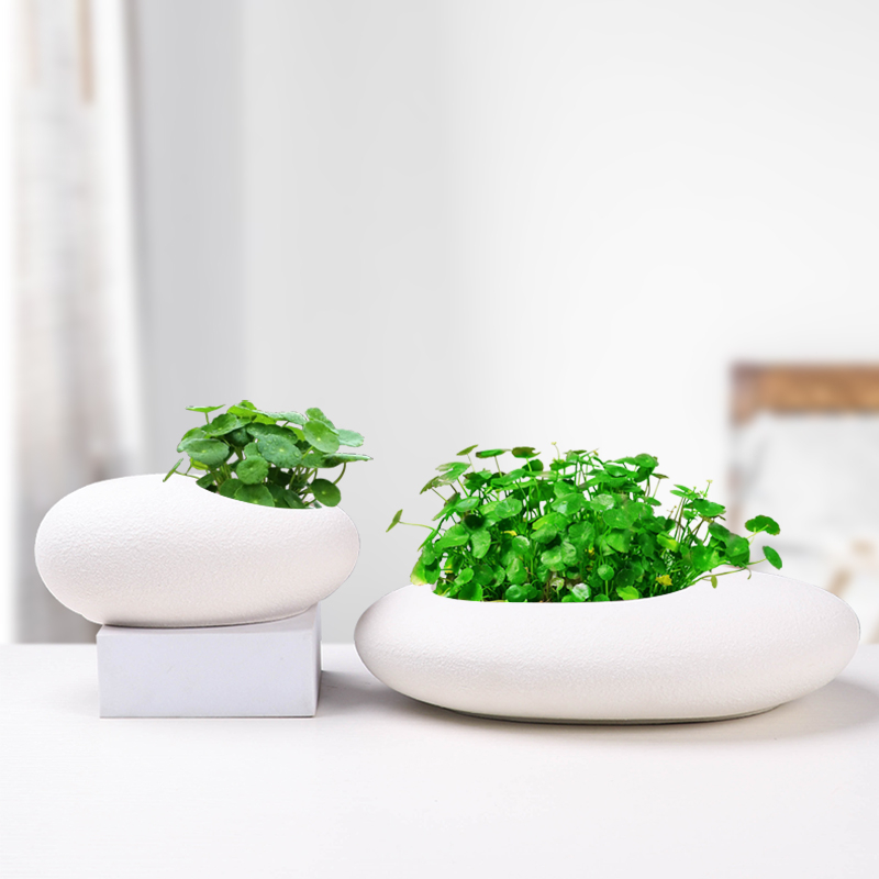 Keramikas puķu pods, minimālistisks dizains, uz grīdas stāvošs, mājas dārzkopība