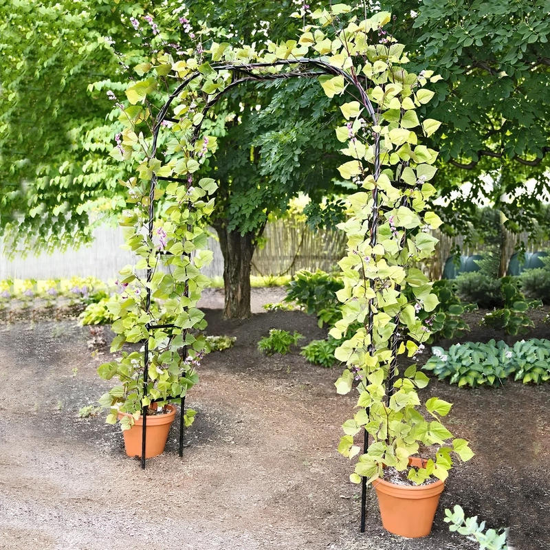 Plastikinė kopimo arkos rėmas rožėms ir vynuogėms, modulinis, pastoralinis stilius, grindų stovinti sodo dekoracija