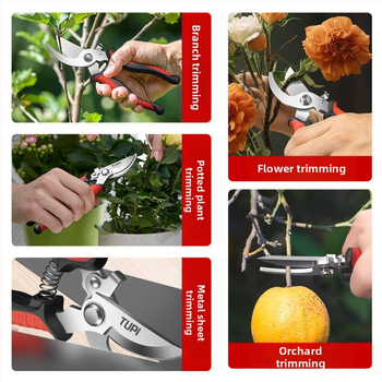 Ψαλίδι κλαδέματος - Ανοξείδωτο ατσάλι, σχέδιο εξοικονόμησης προσπάθειας, ανθεκτικό για παχιά κλαδιά και φρούτα δέντρων