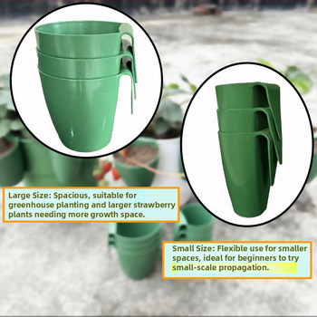 Κύπελλο Αναπαραγωγής Φράουλας – Πλαστικό, για διάδοση φράουλών και creeping stems