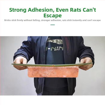 Lipnioji pelės plokštė — itin stiprus klijus, 10 lapų, bekvapė, namų naudojimui