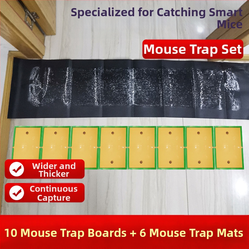 Lipnioji pelės plokštė — itin stiprus klijus, 10 lapų, bekvapė, namų naudojimui