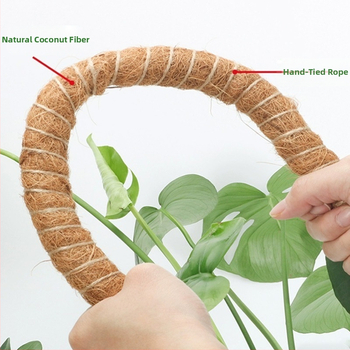 Τριμελής στήριξη για αναρριχητικά φυτά με στήλη και πλαίσιο από ίνες καρύδας για pothos και κλήματα